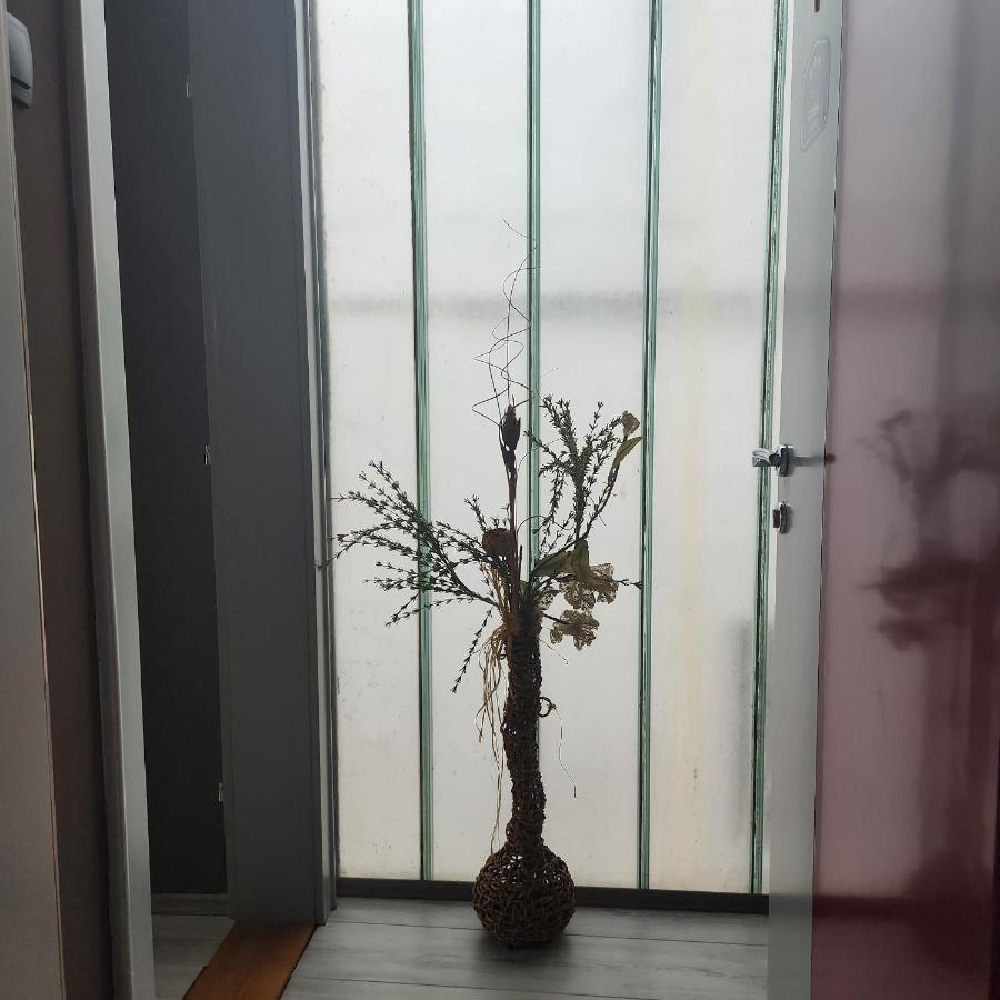 In Club Aparthotel Vrnjacka Banja Luaran gambar